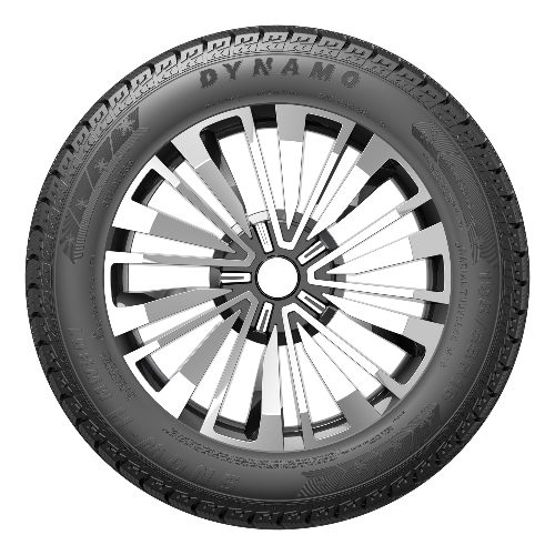 225/55 R16 99H Snow-H MWH01 XL DYNAMO