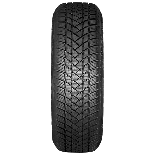 225/55 R16 99H Winterpro2 XL M+S GT Radial