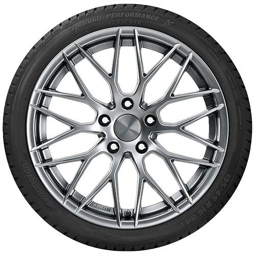 205/55 R16 91V Road Performance Kormoran