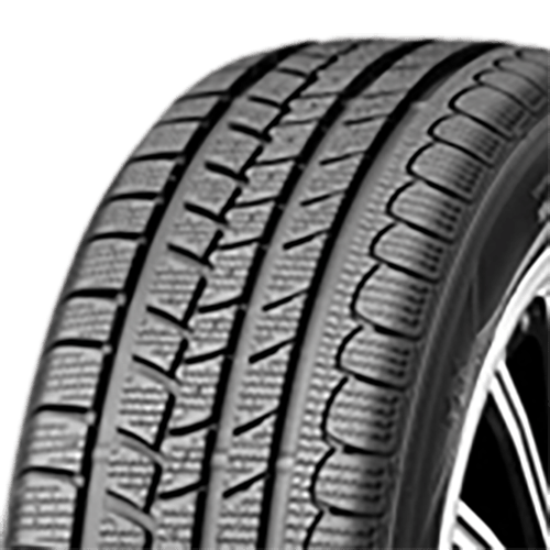 225/55 R16 95H Eurovis Alpine Roadstone