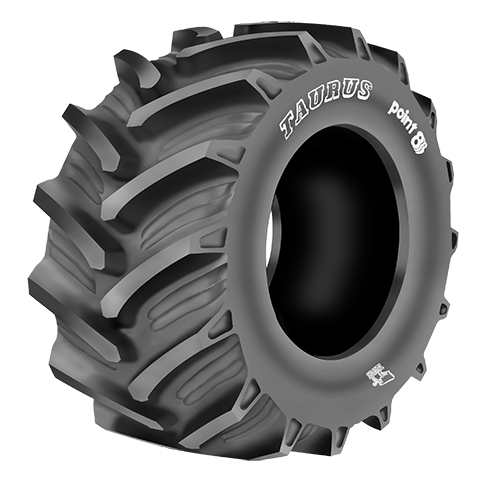 16.9 R38 141A8/138B Point 8 Taurus