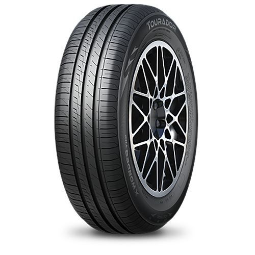 195/65 R15 95T X Wonder TH2 XL Tourador