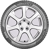 205/55 R16 94H Eskimo HP 2 XL Sava