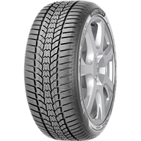 205/55 R17 95V Eskimo HP 2 XL Sava