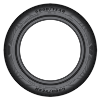 205/60 R16 96H EfficientGrip Performance 2 XL Goodyear