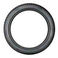 245/45 R18 100V Nokian WR Snowproof P XL Nokian