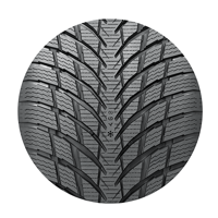 245/45 R18 100V Nokian WR Snowproof P XL Nokian