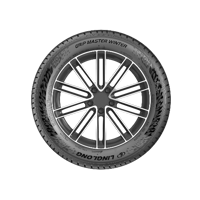 215/55 R17 98V Grip Master Winter Linglong