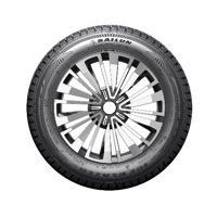 205/65 R16C 107/105Q ICE Blazer WST1 8PR M+S Sailun