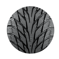 285/30 R20 99R HKPL R2 XL Nokian