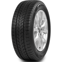 245/35 R20 95W Wintoura SUV XL Davanti