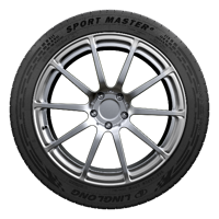 255/40 R21 102V Sport Master e FP Linglong