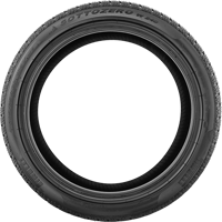 295/30 R19 100V W 240 Sottozero XL Pirelli