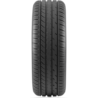225/55 R17 101W DX640 Davanti