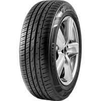 255/65 R17 110H DX740 Davanti