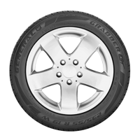 245/65 R17 111V Grabber GT XL BSW FR M+S General Tire