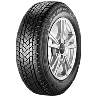 205/60 R16 96H Winterpro2 XL M+S GT Radial