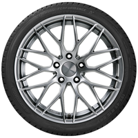 205/55 R16 91V Road Performance Kormoran