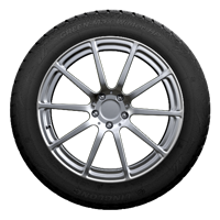 195/65 R15 95T Green Max Winter HP XL M+S Linglong