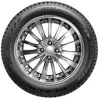 205/55 R16 91T Winguard Snow G WH2 M+S Nexen