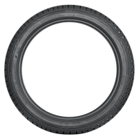 245/40 R20 99W Nokian WR A4 XL M+S Nokian