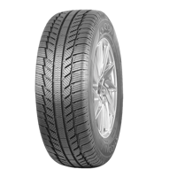 235/65 R16C 121/119T Everest C Syron Tires