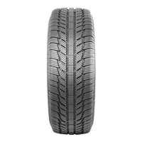 235/65 R16C 121/119T Everest C Syron Tires