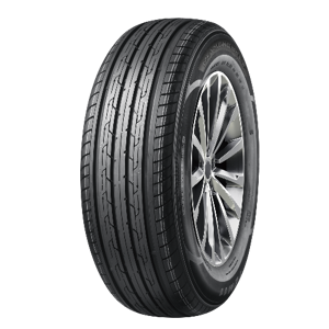 165/65 R15 81H DE301 Diamondback