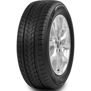 245/35 R20 95W Wintoura SUV XL Davanti