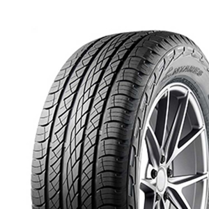 ANTARES MAJ-R1 295/45ZR20 114W XL