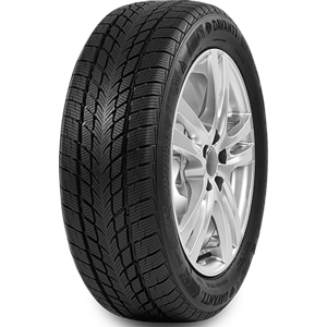195/60 R15 88H Wintoura Davanti