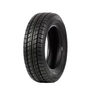 205/65 R16C 107/105T WD2 Delinte