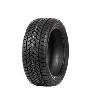 215/60 R16 99H WD1 Delinte