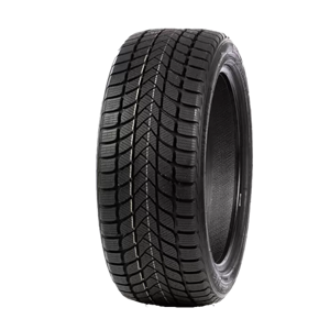 215/55 R17 98H WD6 Delinte