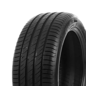 215/65 VR17 99V DS2 SUV Delinte