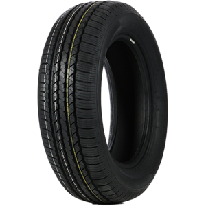 215/60 R17 96H DS66 Double Coin