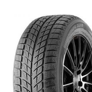 Double Star DW09 225/45 R18 95T