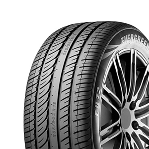 255/50 R19 107Y EU72 XL Evergreen
