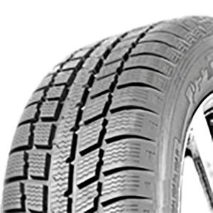 195/65 R15 91H Pirineos Insaturbo