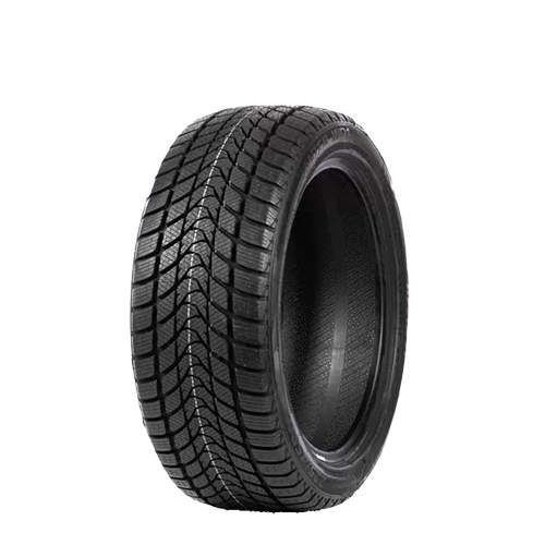 215/60 R16 99H WD1 Delinte