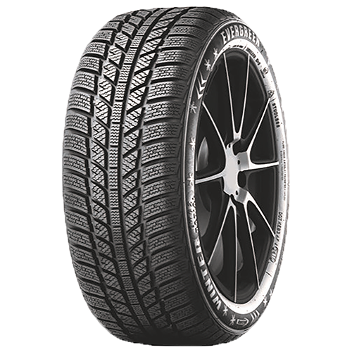 205/60 R16 96H EW62 XL Evergreen