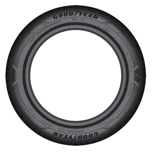 205/55 R17 95V EfficientGrip Performance 2 XL Goodyear