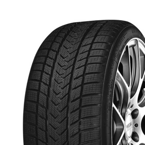 265/35 R21 101V Pro Winter XL Gripmax