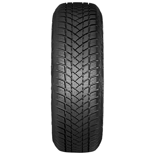 205/55 R17 95H Winterpro2 XL M+S GT Radial