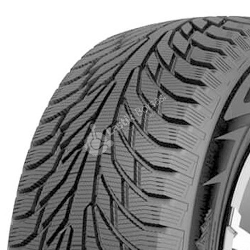 205/55R16 91T Petlas GLACIER W661 M+S