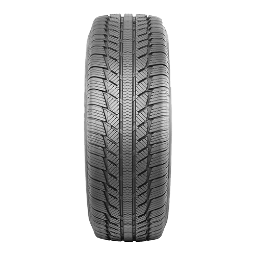235/65 R16C 121/119T Everest C Syron Tires